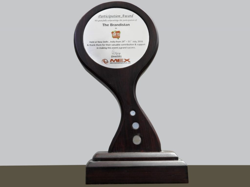 Participation Award the brandistan at delhi